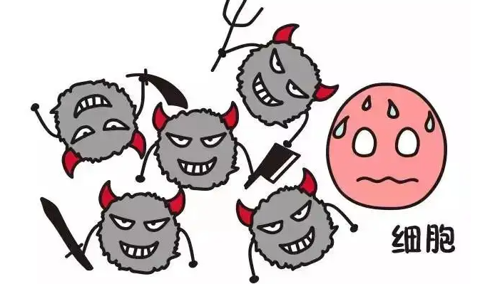 肿瘤晚期哪些因素会危险生命图片