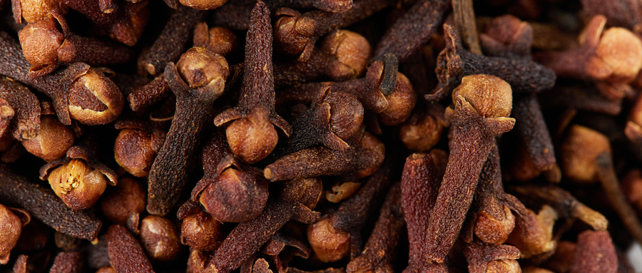 摄图网_507732076_中药材丁香(企业商用).jpg