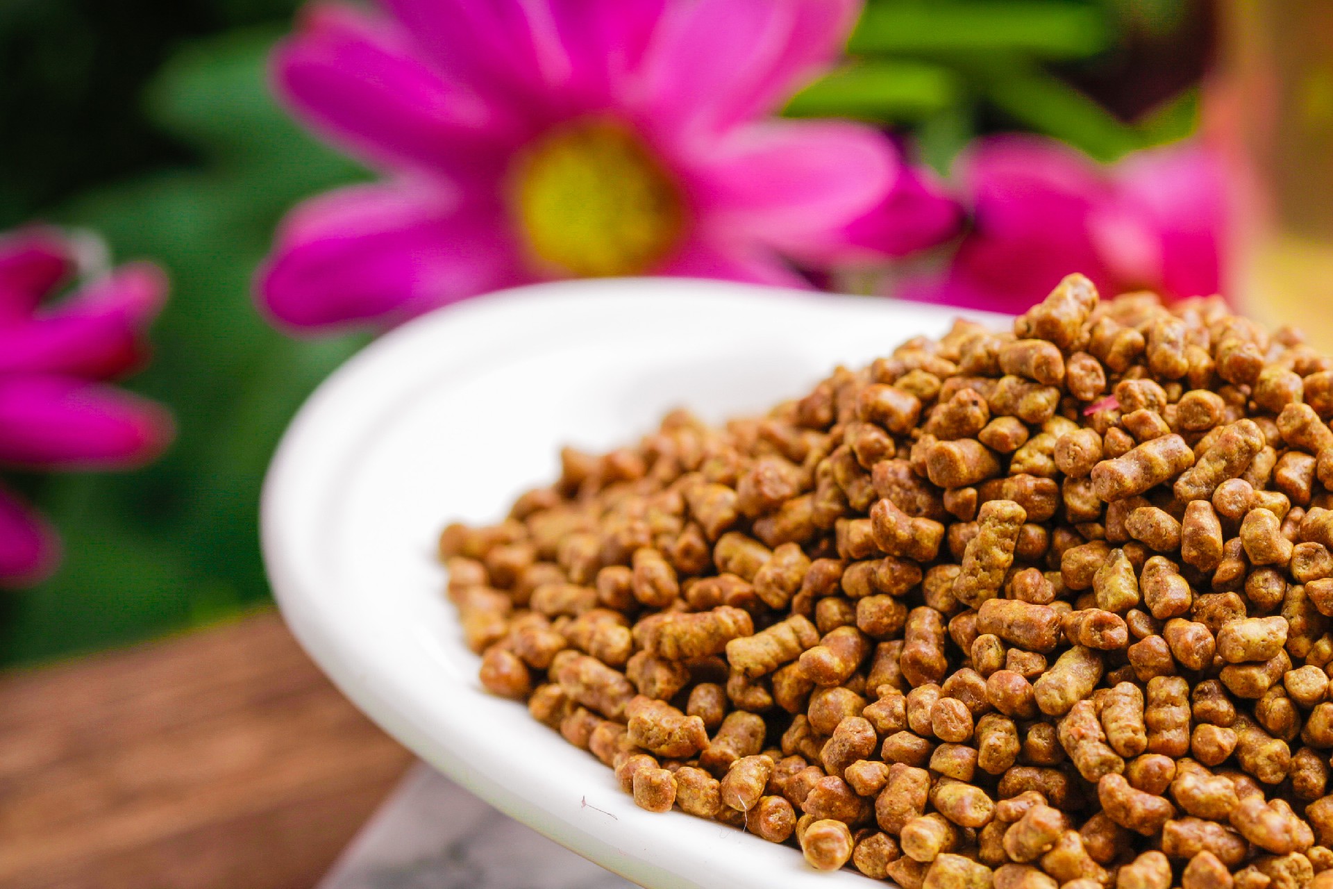 1722673919180034.jpg 摄图网_500775425_决明子(企业商用).jpg