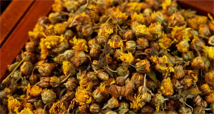 1723451124764294.jpg 摄图网_507732096_中药材菊花(企业商用).jpg